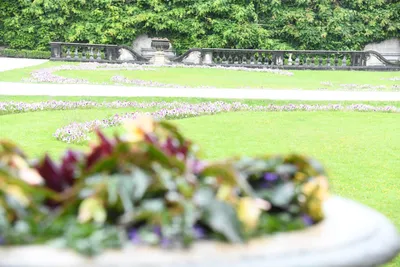 DSC_6128 (Large).JPG